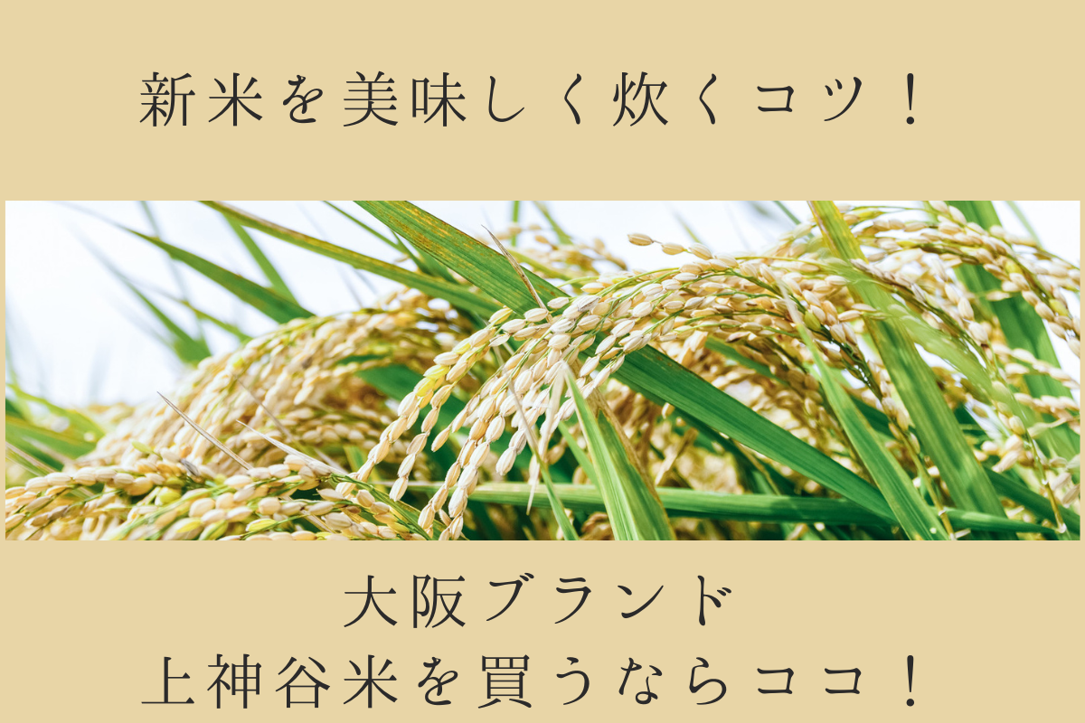 新米を美味しく炊くコツ！大阪ブランド上神谷米を買うならココ！